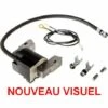 Bobine Allumage Briggs Et Stratton -France Tondeuse Soldes Boutique 11012208 1