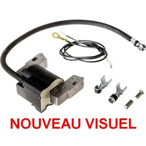 Bobine Allumage Briggs Et Stratton 3 Bobine Allumage Briggs Et Stratton