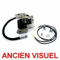 Bobine Allumage Briggs Et Stratton 5 Bobine Allumage Briggs Et Stratton -France Tondeuse Soldes Boutique 11012208 2