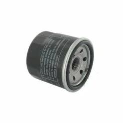 ADAPTABLE Filtre A Huile Briggs Et Stratton - 820314