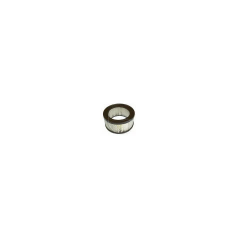 Filtre A Air BRIGGS & STRATTON 252400 253400, 255400 3 Filtre A Air BRIGGS & STRATTON 252400 253400, 255400
