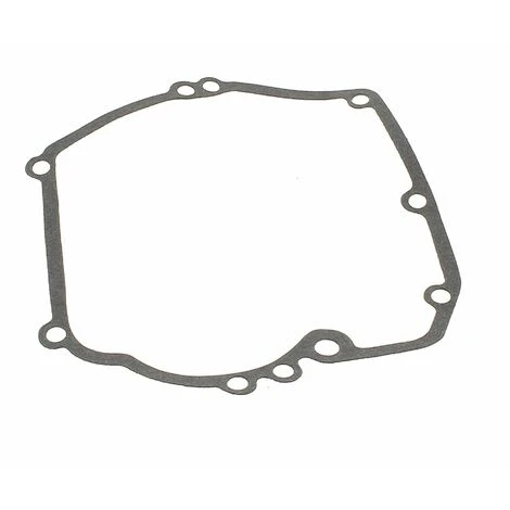 Joint De Carter Quantum Pour Moteur De Tondeuse Briggs & Stratton 3 Joint De Carter Quantum Pour Moteur De Tondeuse Briggs & Stratton