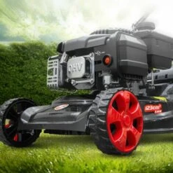 ELEM GARDEN TECHNIC Tondeuse Thermique Poussée 123CC Elem Garden -France Tondeuse Soldes Boutique 29317476 4