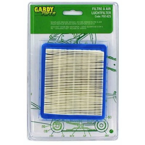 AUTRES Filtre Briggs Pour Moteur Quantum (remplace : 491588) 3 AUTRES Filtre Briggs Pour Moteur Quantum (remplace : 491588)