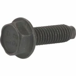 Vis BRIGGS ET STRATTON 794451