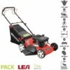 Tondeuse à Gazon 4 Temps 132cm3 Coupe 46cm Bac 45 Litres LEA