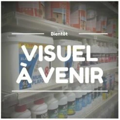 AUTRES Chambre à Air SKANA 650/80-15 Valve TR13