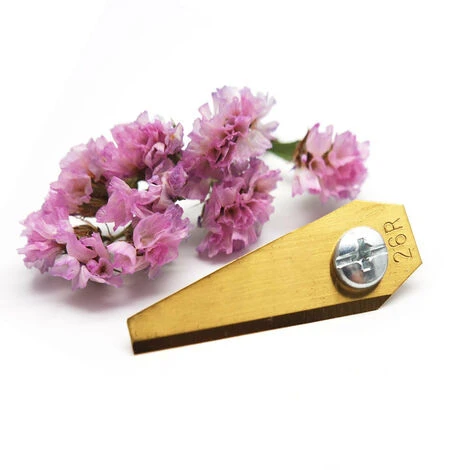 CARILLONSàVENT Carivent 30pcs Lames De Rechange Pour Bosch Titane Accessoires Pour Tondeuses Robot+ 30pcs Vis 6 CARILLONSàVENT Carivent 30pcs Lames De Rechange Pour Bosch Titane Accessoires Pour Tondeuses Robot+ 30pcs Vis – Image 4