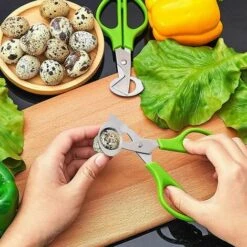 THSINDE Lot De 4 Ciseaux à œufs De Caille, Ciseaux à œufs De Caille En Acier Inoxydable, Petits Ciseaux à œufs De Caille -France Tondeuse Soldes Boutique 67503636 5