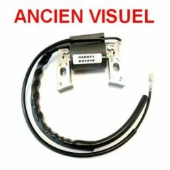 Bobine Allumage Briggs Et Stratton Moteur Quantum 5 Et 6.75cv -France Tondeuse Soldes Boutique 8892642 2