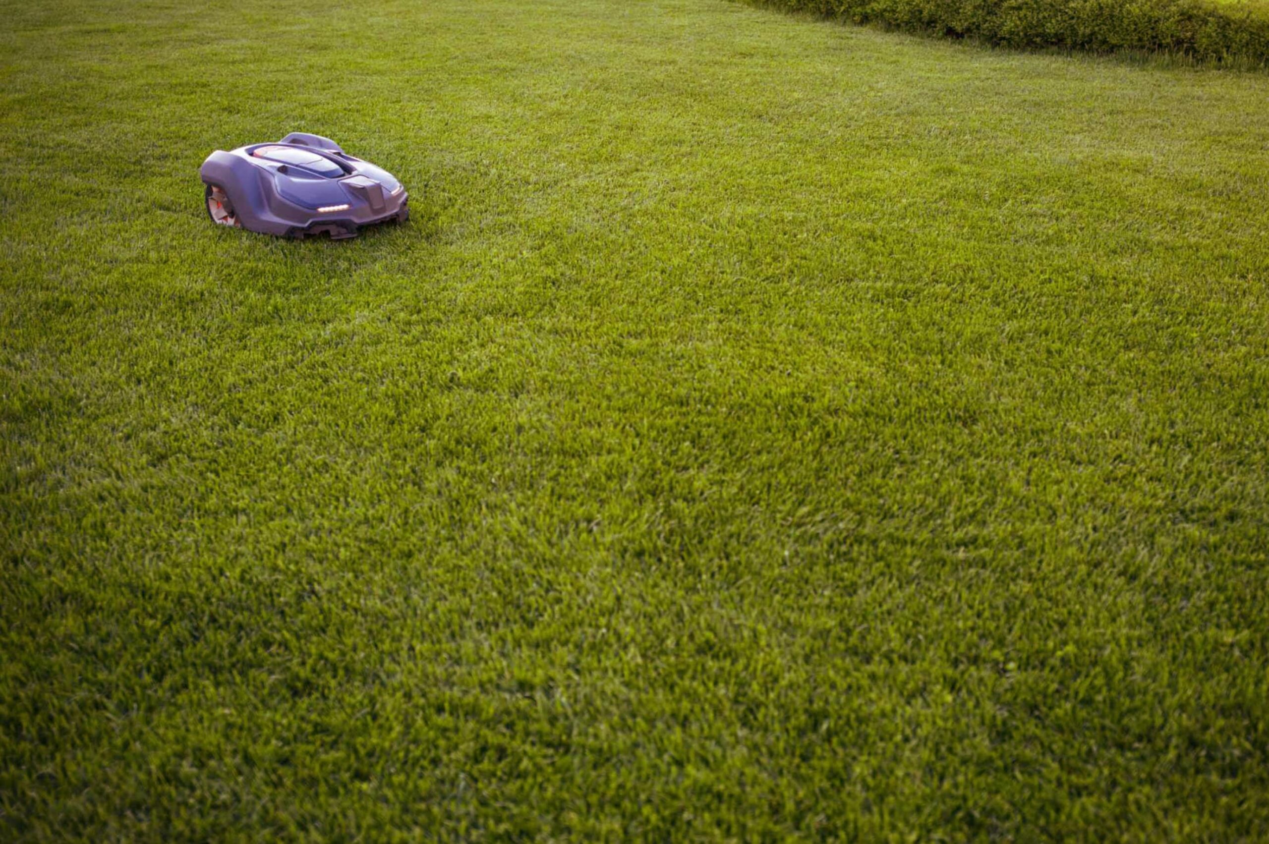 France Tondeuse Soldes Boutique 2 France Tondeuse Soldes Boutique -France Tondeuse Soldes Boutique robot mower on lawn edited scaled